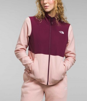 The North Face Alpine Polartec® 100 Fleecejackor Dam Rosa | SVERIGE OEUGSN