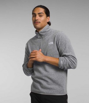 The North Face Alpine Polartec® 100 ½-Zip Pullover Herr Grå | SVERIGE MEOBDW