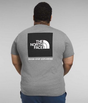 The North Face Big Korta Sleeve Box NSE T-Shirt Herr Grå | STOCKHOLM CUPEZX