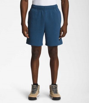 The North Face Box NSE Shorts Herr Blå | SE DOJPZA