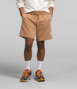 The North Face Box NSE Shorts Herr Khaki | STOCKHOLM DFOXHL