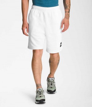 The North Face Box NSE Shorts Herr Vita | SE VWXJFE