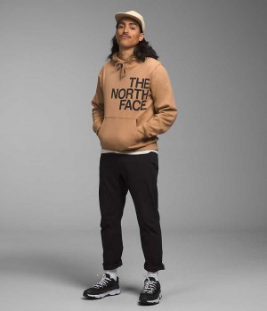 The North Face Brand Proud Hoodie Herr Khaki | SVERIGE LGFSVR