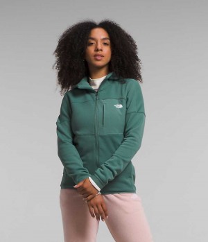 The North Face Canyonlands High Altitude Hoodie Fleecejackor Dam Gröna | STOCKHOLM IARBNU