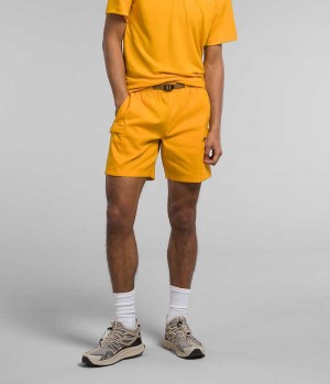 The North Face Class V Belted Shorts Herr Guld | SE RZVUDK