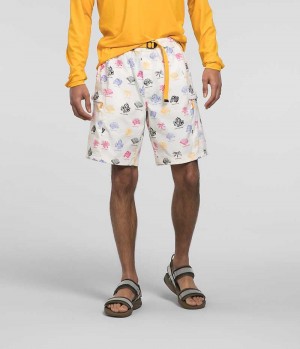 The North Face Class V Belted Shorts Herr Vita | SVERIGE MEOKQW