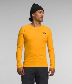 The North Face FD Pro 160 Crew T-Shirt Herr Guld | SE RHTNYO