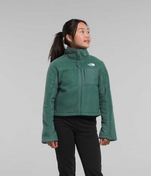 The North Face Fleece Mashup Fleecejackor Tjej Gröna | SE QADMIY