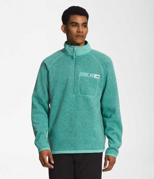 The North Face Gordon Lyons ¼-Zip Pullover Herr Turkos | STOCKHOLM RYUFCZ