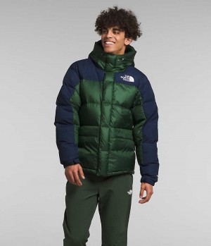 The North Face HMLYN Down Parka Herr Gröna Marinblå | SE JXTUCM