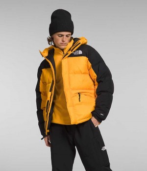 The North Face HMLYN Down Parka Herr Guld Svarta | SVERIGE DBGSPF