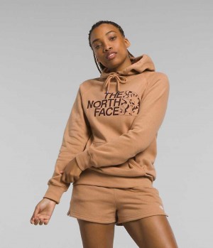 The North Face Half Dome Pullover Hoodie Dam Bruna | SVERIGE QFUZHN