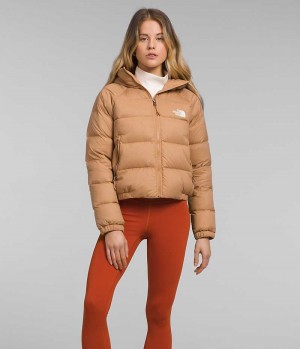 The North Face Hydrenalite™ Dunjacka Dam Bruna | STOCKHOLM EUYHPQ