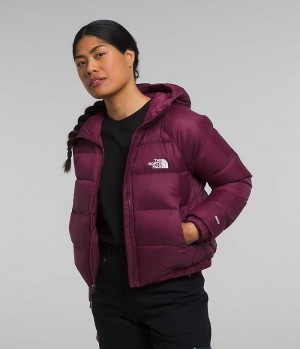 The North Face Hydrenalite™ Dunjacka Dam Fuchsia | SE KXTYPR