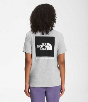 The North Face Korta Sleeve Box NSE T-Shirt Dam Ljusgrå | STOCKHOLM EUBAZH