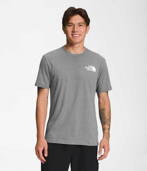 The North Face Korta Sleeve Box NSE T-Shirt Herr Grå | SE WZVRDF