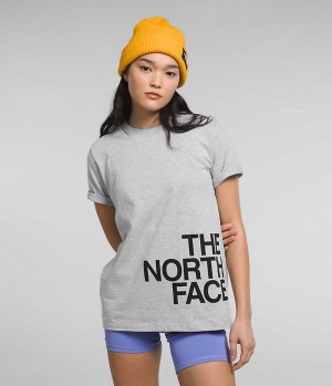 The North Face Korta Sleeve Brand Proud T-Shirt Dam Ljusgrå | SE ZFBIAG