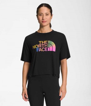 The North Face Korta Sleeve Half Dome Crop T-Shirt Dam Svarta | STOCKHOLM DPIEKT