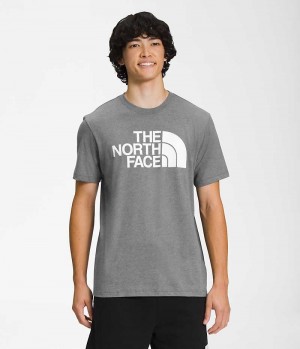 The North Face Korta Sleeve Half Dome T-Shirt Herr Grå | SVERIGE MJLCGI