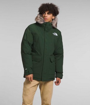 The North Face McMurdo Parka Herr Gröna | SE SVDZQY