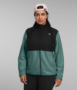 The North Face Plus Alpine Polartec® 100 Fleecejackor Dam Svarta Gröna | STOCKHOLM JZNFOK