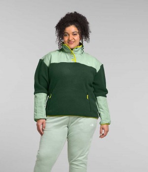 The North Face Plus Cragmont Fleece ¼-Snap Pullover Dam Gröna | SE RIFGVK