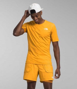 The North Face Sunriser Korta Sleeve T-Shirt Herr Guld | SE NHWZXB