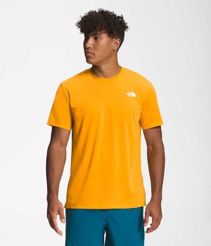 The North Face Wander Korta Sleeve T-Shirt Herr Guld | SE GMVZJI