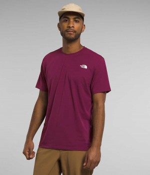 The North Face Wander Korta Sleeve T-Shirt Herr Fuchsia | SVERIGE QBJRAL