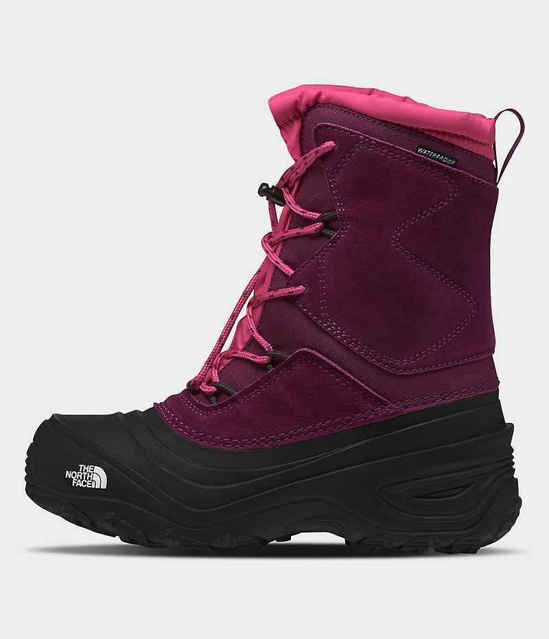 The North Face Alpenglow V Vattentäta Vinterkängor Tjej Fuchsia Svarta | SE QZYTOX