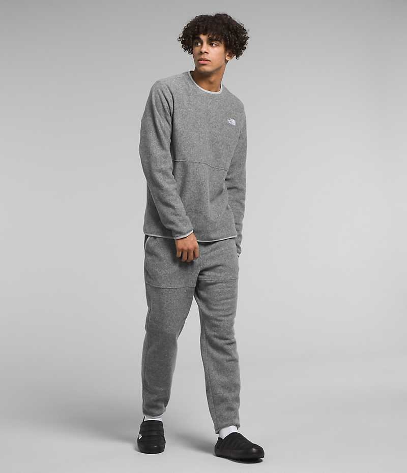 The North Face Alpine Polartec® 100 Crew Pullover Herr Grå | STOCKHOLM DEGJNS