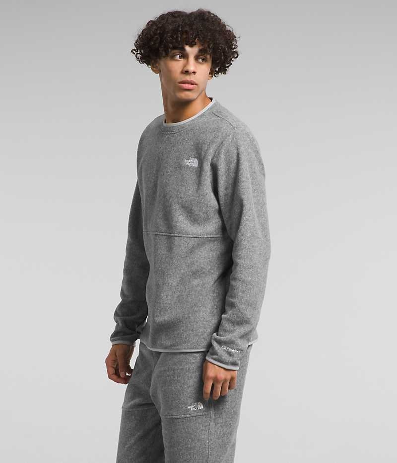 The North Face Alpine Polartec® 100 Crew Pullover Herr Grå | STOCKHOLM DEGJNS