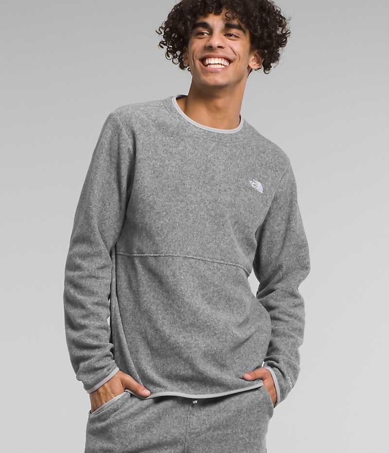 The North Face Alpine Polartec® 100 Crew Pullover Herr Grå | STOCKHOLM DEGJNS