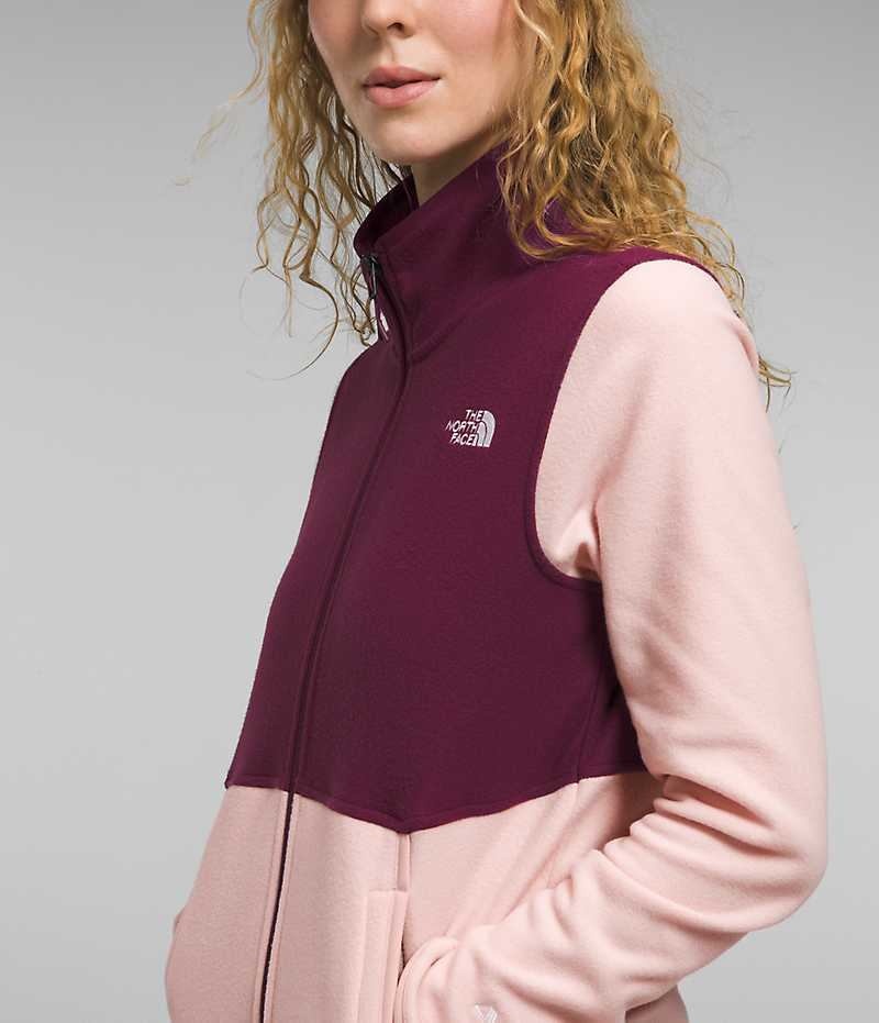 The North Face Alpine Polartec® 100 Fleecejackor Dam Rosa | SVERIGE OEUGSN