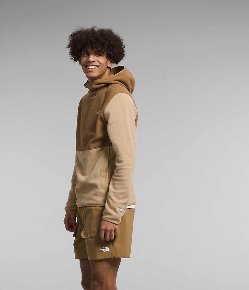 The North Face Alpine Polartec® 100 Pullover Herr Khaki Bruna | SVERIGE PGNUWC