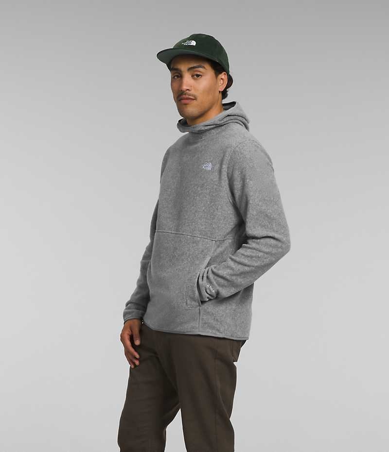 The North Face Alpine Polartec® 100 Pullover Herr Grå | SE BPCWJA