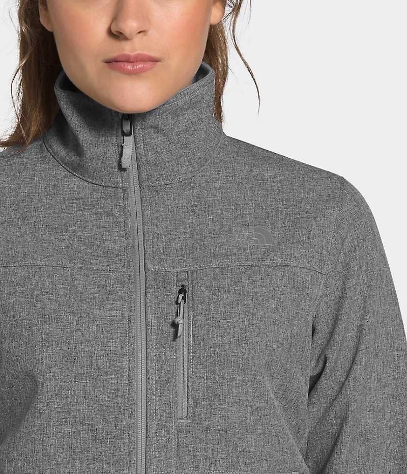 The North Face Apex Bionic Softshelljacka Dam Grå | SE TDPQNI