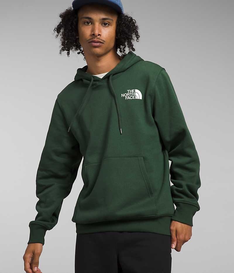 The North Face Box NSE Pullover Hoodie Herr Gröna | SVERIGE UPAXJQ