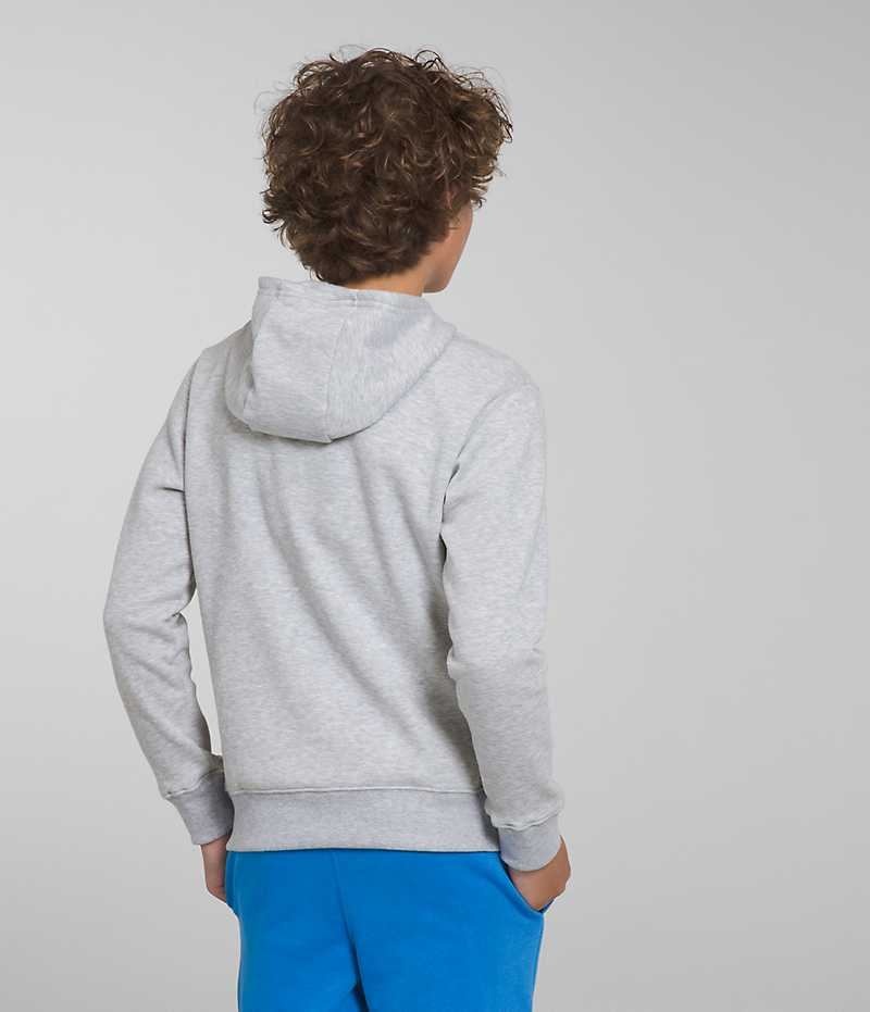 The North Face Camp Fleece Pullover Hoodie Pojke Ljusgrå | STOCKHOLM DWSAFX