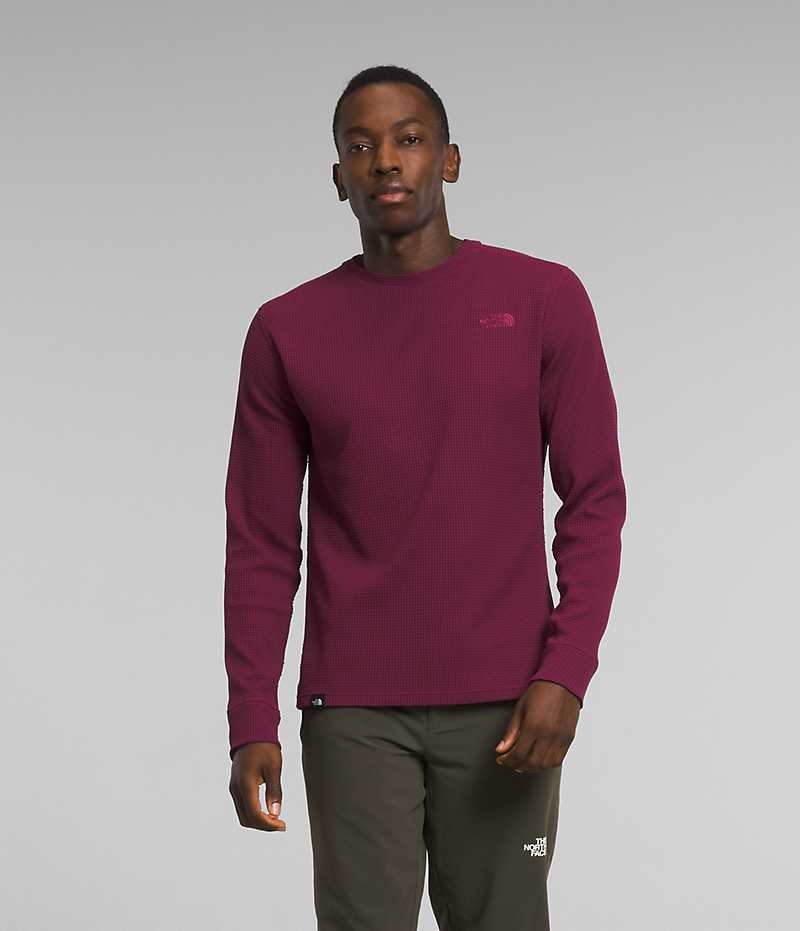 The North Face Canyon Fog Thermal Long Sleeve Pullover Herr Fuchsia | STOCKHOLM EYFVZT