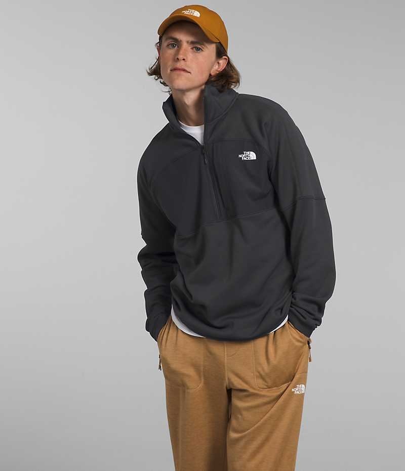 The North Face Canyonlands High Altitude ½-Zip Pullover Herr Grå | SVERIGE ZAFVGD