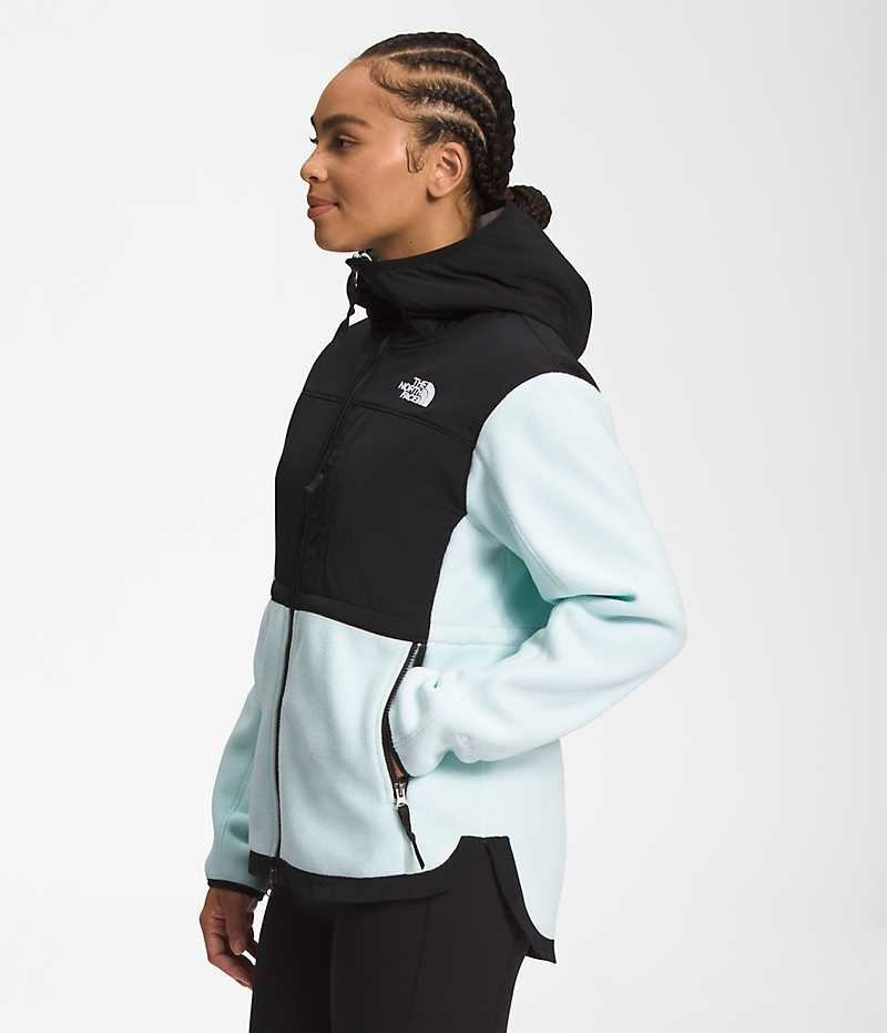 The North Face Denali Hoodie Fleecejackor Dam Svarta Turkos | SE LONYIF