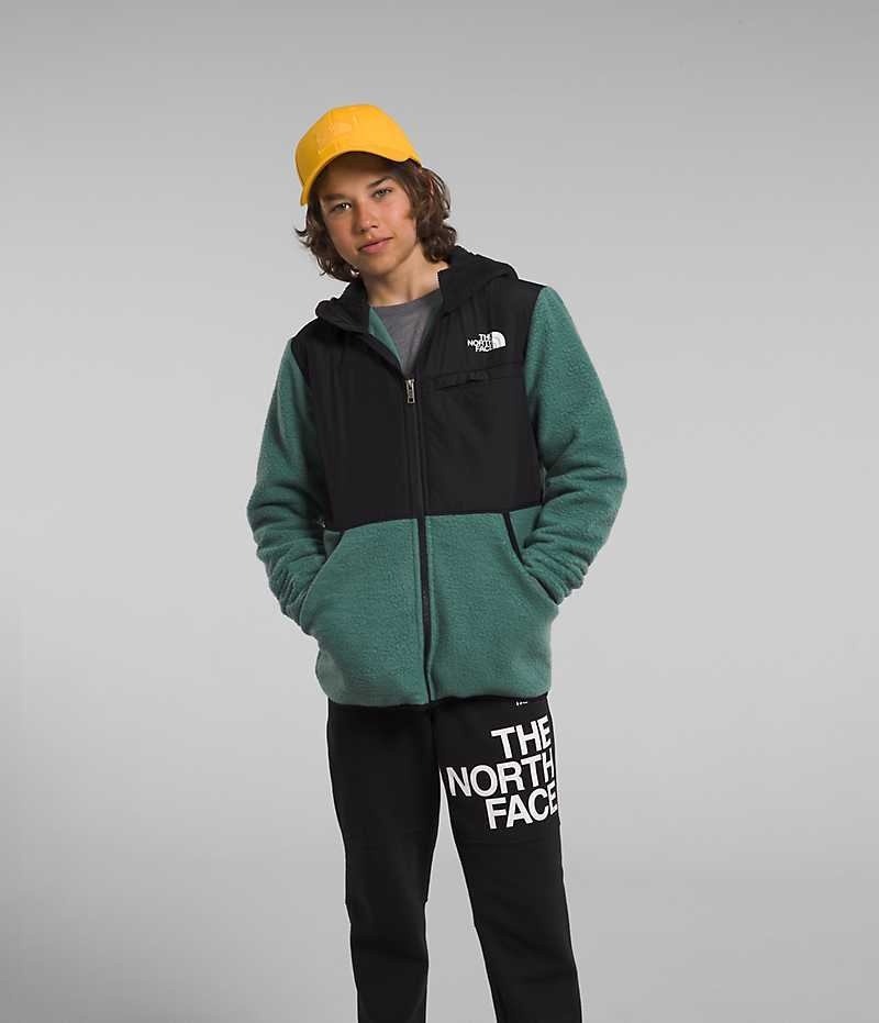 The North Face Forrest Full-Zip Hooded Fleecejackor Pojke Gröna | SE QUKPBT