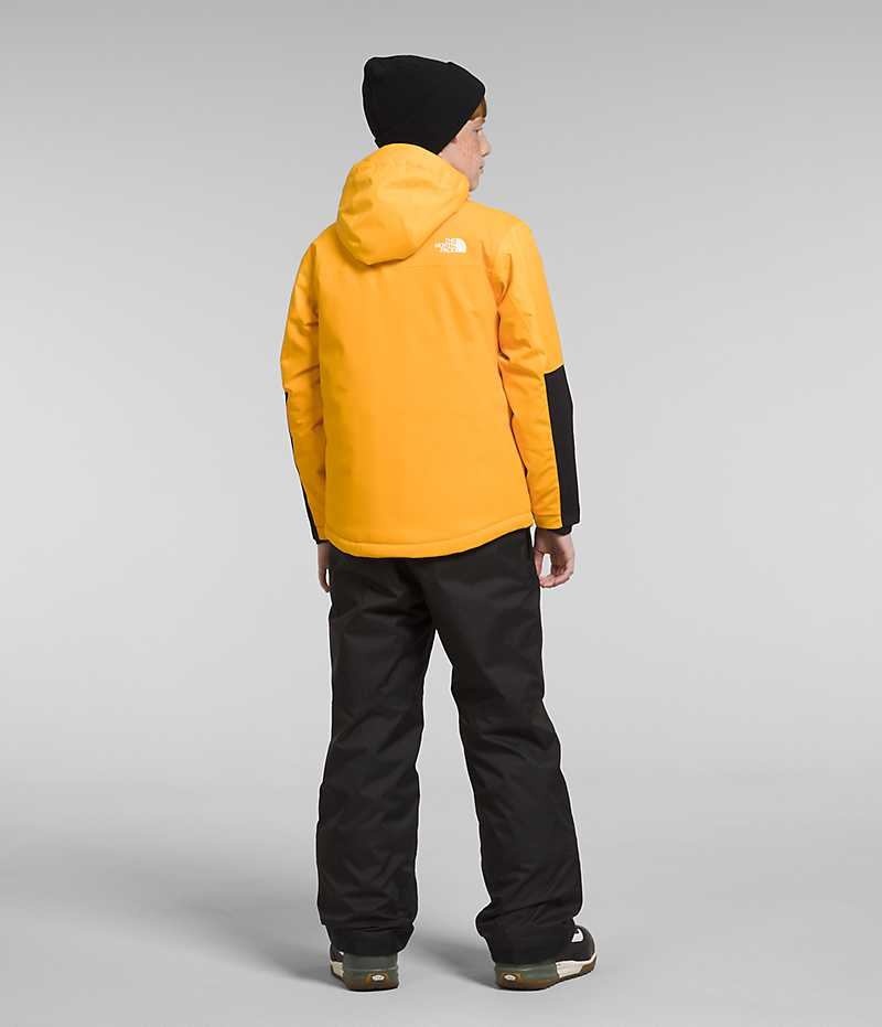 The North Face Freedom Extreme Isolerade Jackor Pojke Guld | SE YVJERA