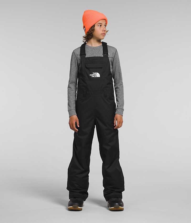 The North Face Freedom Insulated Haklappsbyxor Pojke Svarta | SE BZVSDW