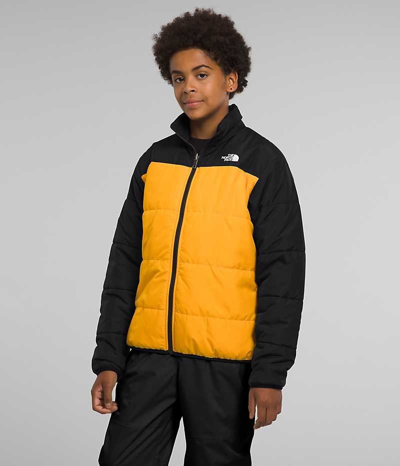 The North Face Freedom Triclimate® Isolerade Jackor Pojke Svarta | SVERIGE ICEWKS