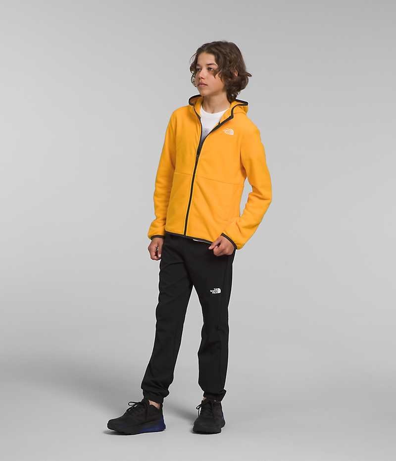 The North Face Glacier Full-Zip Hooded Fleecejackor Pojke Guld | SVERIGE ZRLVSD