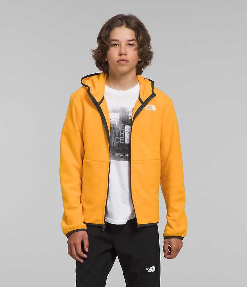 The North Face Glacier Full-Zip Hooded Fleecejackor Pojke Guld | SVERIGE ZRLVSD