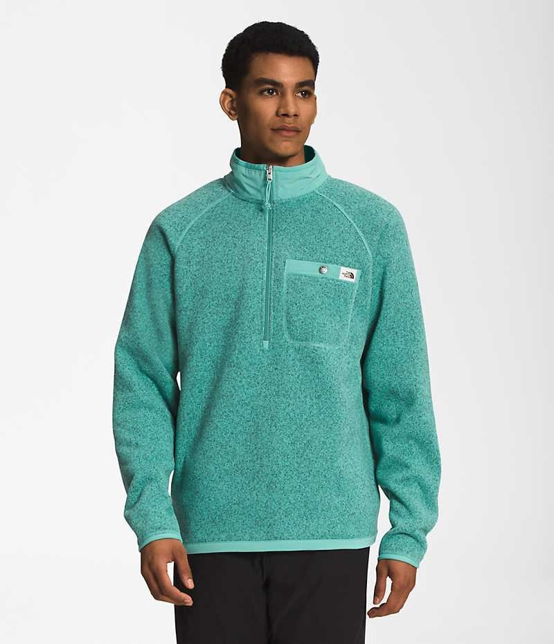 The North Face Gordon Lyons ¼-Zip Pullover Herr Turkos | STOCKHOLM RYUFCZ