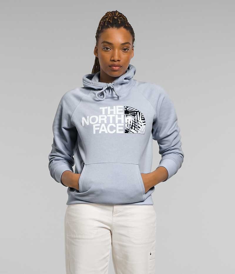 The North Face Half Dome Pullover Hoodie Dam Blå | STOCKHOLM IYNQZC